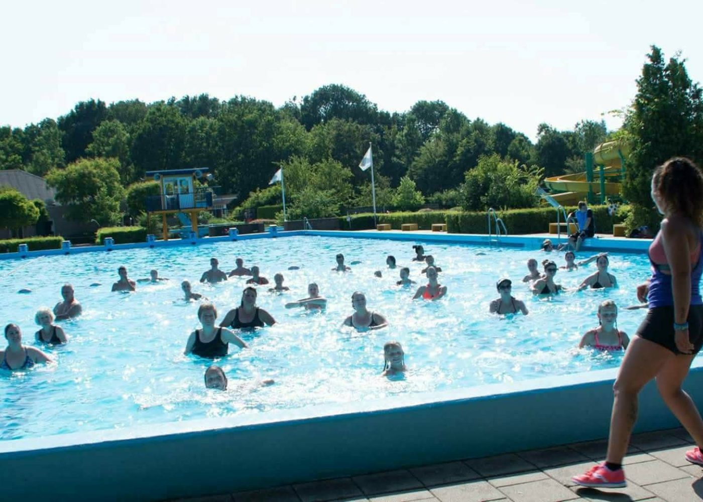 FB_IMG_1750332762744